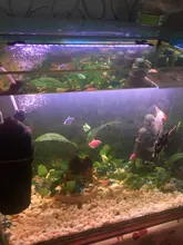 Enchufe europeo para acuario, lámpara para acuario, barra impermeable, luz de buceo, iluminación decorativa para acuario, 220 V, fuente de alimentación para acuario