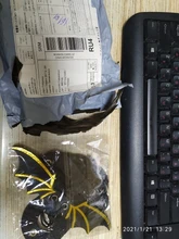 Reptil lagartija Gecko Dragón Barbudo, arnés y correa ajustable