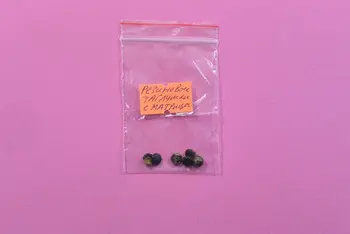 Изображение товара 0