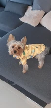 Traje para perros con estampado de animales, abrigo suave de algodón para mascotas, Jersey, camisa, chaqueta, suéter, ropa para mascotas