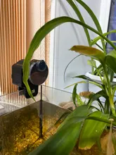 Pond-Food-Feeder-Feeding Aquarium-Timer Automatic-Fish-Feeder with LCD Adjustable