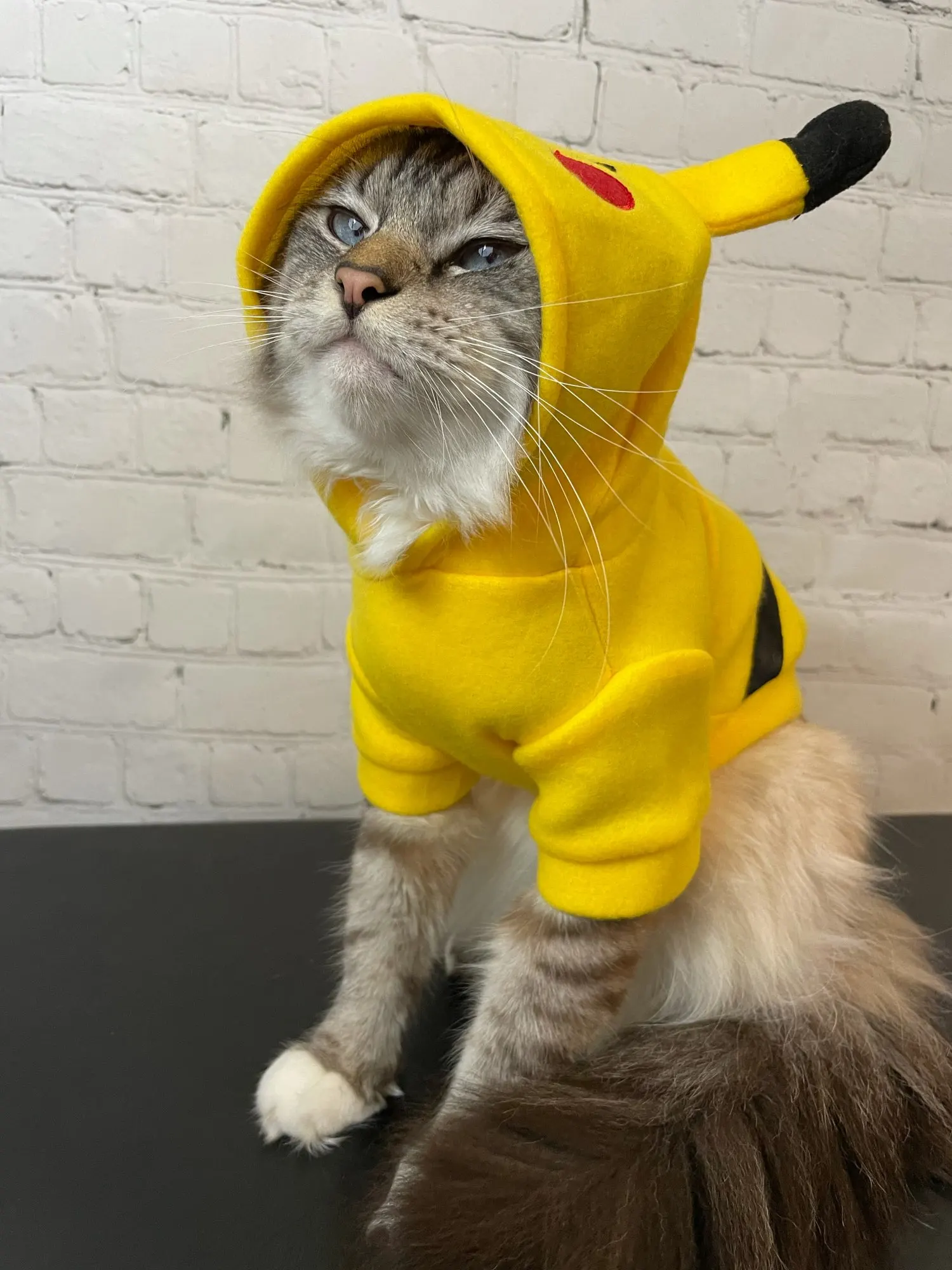 Fantasia Pet Pikachu  Para Cachorro e Gato