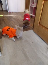 Jumpsuit Clothing Hoodies Jacket Pet-Dog-Coats Small Dogs Sport Apparel Winter Fashion