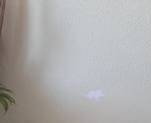 Light-Pen Mouse Cat-Toy Led-Pointer Amazingly Bright-Animation Funny Creative with And