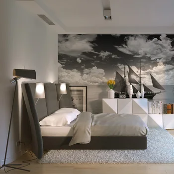 

Wall mural-cruise-400x309 cm