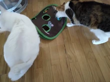 Intelligence Toy Bell-Tent Mouse Mice Game Pets Pet-Cat Active Kitten 9-Hole cats-Playing-Tunnel