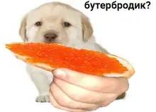 Cabezales de afeitado de 3 cuchillas para mujer, accesorios para el cuidado de la piel, afeitadora corporal, 4 Uds.