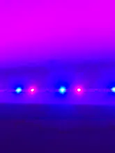 RGB Leds Tape Strip-Light Ribbon Waterproof Smd 2835 Flexible White/rgb 5M DC12V New