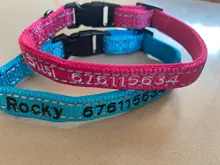 Airuidog de Nylon ajustable Collar de perro bordado acolchado Collar para cachorro perro ID Collar reflectante