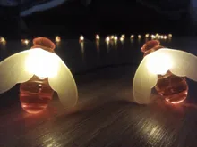 Fairy-Light Fence Led-String Patio Solar-Powered Christmas Honey Outdoor Garden 20leds