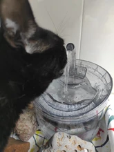 REPLACEMENT-FILTERS Fountain ACTIVATED-CARBON-FILTER Cat-Water Pet Automatic WF050/WF060