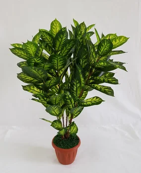 

Artificial diffenbachia