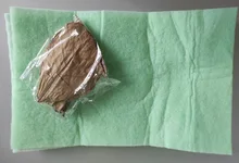 10pcs high quality Natural Terminalia Catappa Leaves,Indian almond Lour tree Olive leaf