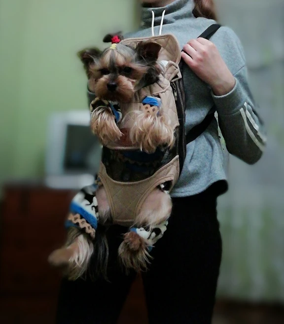 Small Dog Carrier Puppy Backpack Dog Front Carrier Legs Out Front