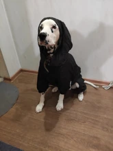 Dog-Coat Winter HOOPET for Dogs Clothing Warm Christmas Big