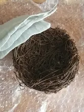 Nest Bird-Cage Prop-Bird Photography-Props Vintage-Decoration Optical-Store Creative