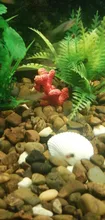 Aquarium-Decoration Coral-Ornaments Fish-Tank Artificial-Coral Bright for Simulation-Vivid