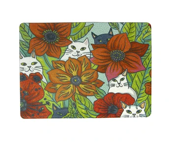 

Cover for the transport card "kotofey Klimba"