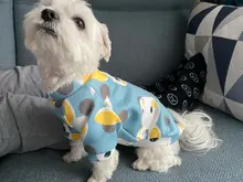 Cute Print Small Dog Hoodie Coat Winter Warm Pet Clothes for Chihuahua Shih Tzu Sweatshirt