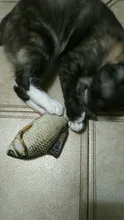 Doll-Pillow Cat-Toy Cat Mint Simulation-Fish Grass-Carp Funny New Pet-Molar