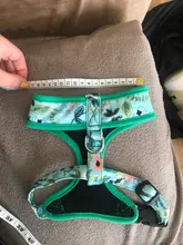 Cute Printed Chihuahua French Bulldog Harness Adjustable Puppy Cat Harness Pet Small