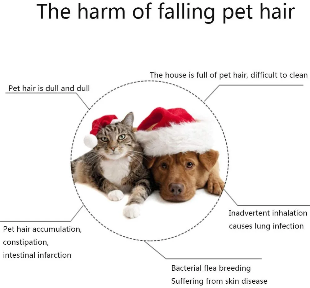 61XWNI2S7fL._AC_SL1001_