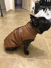 Jacket Vest Puppy-Clothing Pug-Coat Small Dogs Chihuahua Waterproof Winter Teddy Pet-Dog