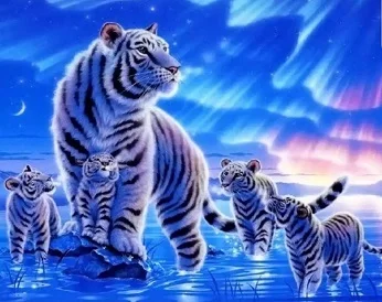 

Diamond painting 40x50 Tigers
