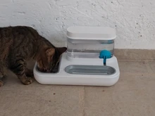 Cuenco de Gato de 4 estilos para perros, alimentador de gatos, bebedero automático para gatitos, capacidad de 1.5L, productos de alimentación para cachorros