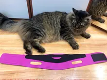 Vendaje de adelgazamiento Facial elástico para mujer, moldeador de cara con línea en V, cinturón de elevación de mejillas para Barbilla, Correa antiarrugas para el cuidado Facial, herramientas delgadas