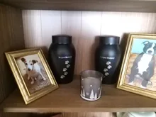 Urnas de acero inoxidable doradas y negras para mascotas, urnas para perros, gatos, pájaros, cremación, cenizas, urna de recuerdo