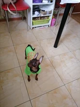 Camiseta transpirable de verano para perro, chaleco de dibujos animados para mascota, disfraces de Bulldog Francés, Chihuahua, abrigo para perro pequeño y mediano