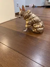 Jacket Clothing Puppy Small Dogs Waterproof Winter Overalls Pet-Coat Dog-Jumpsuit Fleece