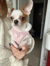 Jacket Pet-Coat French-Bulldog For Chihuahua Puppy-Vest Warm Dog Mascotas Winter Small