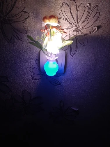 LED Night Light Mushroom Wall Lamp photo review