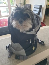 Mochila De viaje portátil plegable con doble hombro para mascotas, bolsa de transporte frontal de malla para perros y gatos