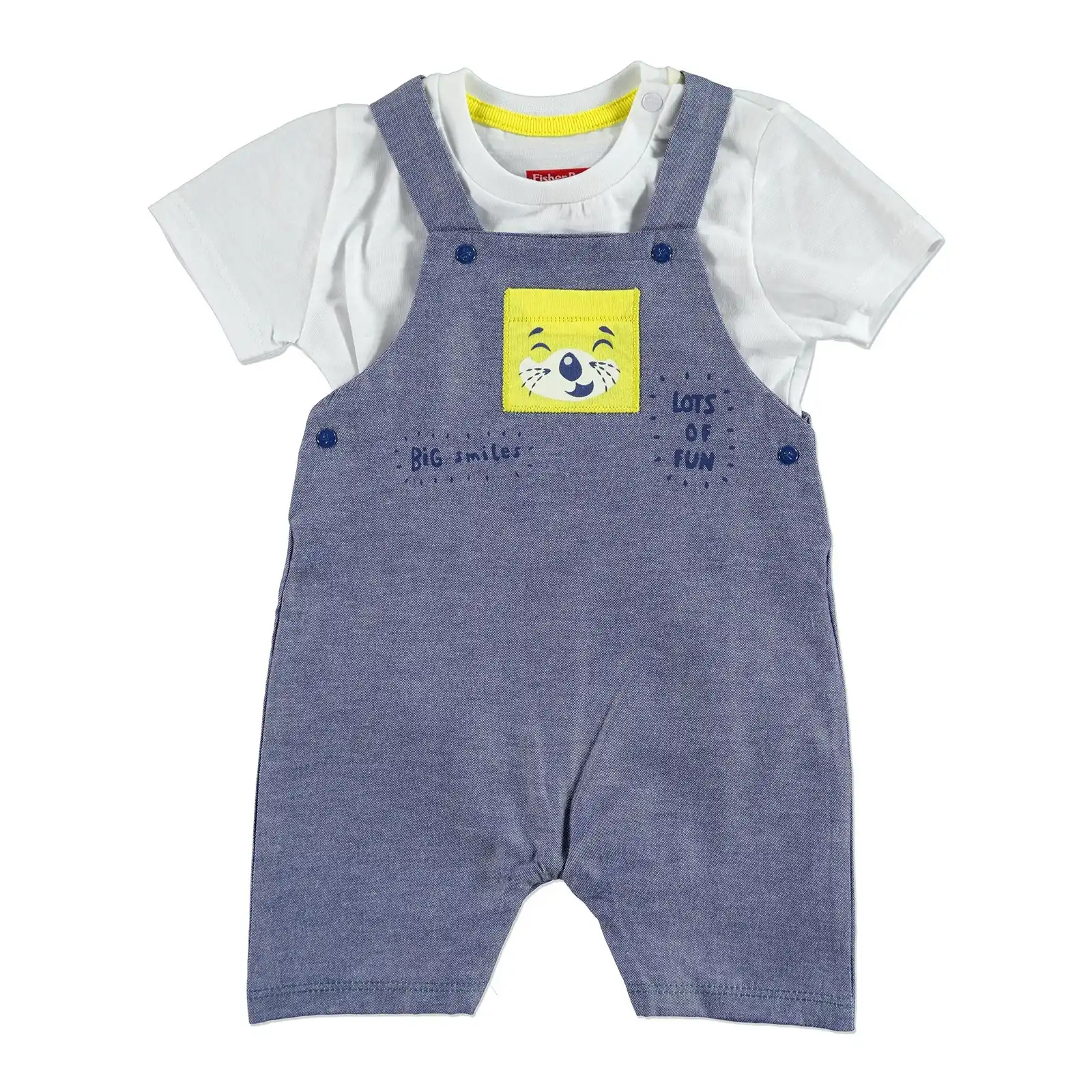 fisher price garden set