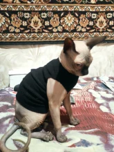 LED RGB Connector Strip-Light Right-Angle L-Shape 4-Pin GRN-FLASHING for 10mm 5050 2835/3528