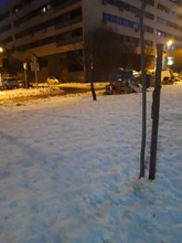 Pendientes de árbol de la vida para mujer, aretes de Color plata, pendientes de Francia para mujer, aretes con gancho para la oreja, joyería cabujón de cristal