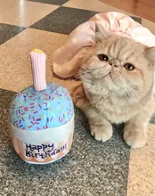 Juguete Molar para mascotas, juguete de felpa para pastel de cumpleaños, juguete para jugar interactivo, resistente a mordeduras, magdalenas, gatos rellenos, perros