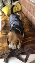 Jacket Raincoats Puppy-Clothing Dogs Waterproof Outdoor Vest Pet-Dog Reflective Small