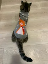 Pet Cat Reindeer Sweater Winter Warm Cat Clothes for Cats Kedi Outfit katten Clothing