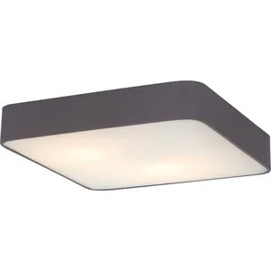

Ceiling Light artelamp supplier