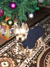 Ropa de perro de moda ropa de invierno para perros pequeños perros mediano chaqueta de abrigo Chihuahua ropa para mascotas para pequeño mediano perros Carlino