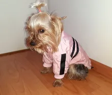 French Bulldog Small Dogs Pugs Winter For Chihuahua Outfit Pink Warm Clothing Roupa Pet-38s2