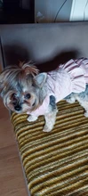 Warm Pet Dog Dress Vest Jacket For Dogs Cats Winter Chihuahua Yorkies Clothes Maltese