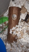 Tube Toy-Tunnel Hamster Wooden Guinea-Pig Rabbit-Ferret for Chew-Toy Exercise Pet-Gyh