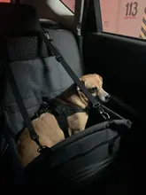 Puppy-Carrier Hammock Pet-Bag Pet-Products Travel Carrying Breathable Waterproof Folding