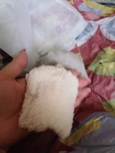 Pet-Bed House Hamster Pig-Cage Guinea Small Animal Warm Rat/hedgehog Nest Winter Cotton