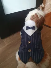 Shirt Tuxedo Pet-Outfit Christmas-Costume Wedding-Suit Cats Gentleman Halloween Small Dogs